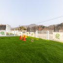 가평댕댕이애견독채펜션퍼플 이미지