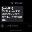 아빠손동물병원 이미지