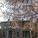 대동우리약국 이미지