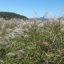 유정낚시터 이미지