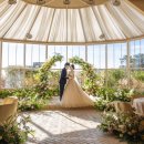 더풀하우스 이미지