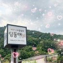 힐링팬션 | 딩동댕 애견 스파 풀빌라에서 보낸 완벽한 힐링 여행! 애견카라반 팬션 후기