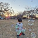 피그랜드 3단지 | 아이장난감 추천_버블건 애들랜드 스피닝 터보 피그 버블건 솔직 후기