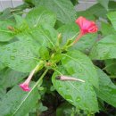 경희빛과소금한의원 이미지