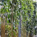 천운농장-2 이미지