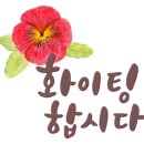 쌀로하는 아동요리 이미지