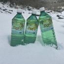 지리산반야봉토종꿀 네이버블로그