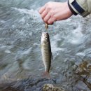 방태산황토펜션식당 이미지