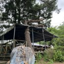 동원농장 2 이미지