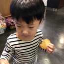 포쉬밥