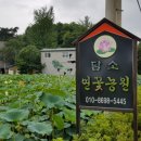 연식품