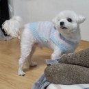 화북카서비스 | 3