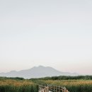 (기획투어)생태순천 | 봄 생태여행 1박2일 코스 짜는 법 — 순천·DMZ·주남저수지 지역별 루트 완전 정리