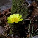 원일초등학교 이미지