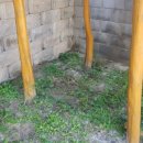 아이행복지기어린이집 이미지