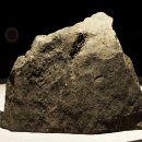 고사리곡 이미지