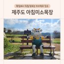 아침에 신선목장 | 제주 아이랑 동쪽 가볼만한곳 제주도 아침미소목장 체험