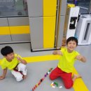 용인대 국가대표 태권도 이미지