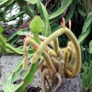 일출하우스 이미지