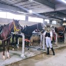 [세인트이콰인] 기승 26-27회차: 구보 보내는 법, 고삐연결, 방향전환