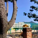 수월초등학교병설유치원 이미지