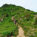 지리산 무박 토요특별산행 공지 (6/26,금 무박출발 - 6/27,토 당일산행) - 레포 이미지