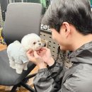 까비 네이버블로그