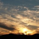 고운 농장 이미지