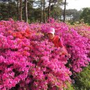 태안휴게소 이미지