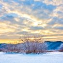 눈부신아침 이미지