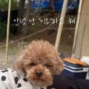 써니힐즈캠핑장