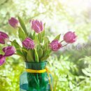 비젼21행정사 이미지