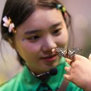 꿈꾸는 정원 이미지