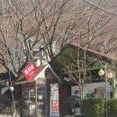 피자마을 밀양펜션 | 피자마을밀양펜션 피자만들기부터 온수물놀이장 실내놀이터 까지 모두 갖춘 밀양 키즈펜션