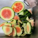 수박이네 | 서브마켓 겨울수박 내돈내산으로 구매한 솔직 후기