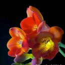 대천서중학교 이미지