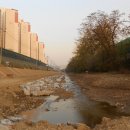 신일장미아파트 이미지