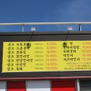 불미골오리 이미지