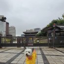 프레이저 플레이스 센트럴 서울 이미지