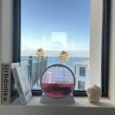 또시애월 이미지