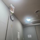 모소낭 모소동 수술 후기/ 모소낭이란? /관리 방법