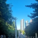 [상권 답사]최근 핫한 상권! 팝업스토어 대장 성수동 1편(연무장길/아뜰리에길)