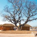 나루터로1-3 이미지