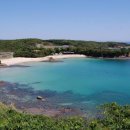 고운카써비스 이미지