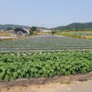 원선농장 이미지