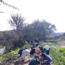 배양초등학교 이미지