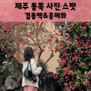 선흘1리낙선동경로당 이미지