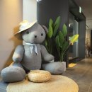 스테이가진 이미지