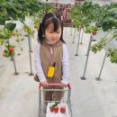 다인농장 이미지