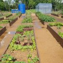 부영공원 이미지